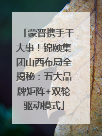 蒙晋携手干大事！锦颐集团山西布局全揭秘：五大品牌矩阵+双轮驱动模式