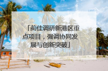 蔺佳调研新港区重点项目，强调协同发展与创新突破