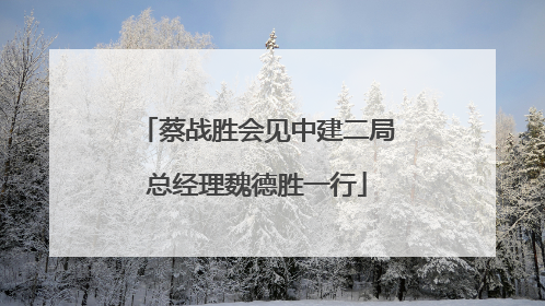 蔡战胜会见中建二局总经理魏德胜一行