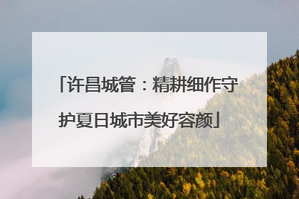 许昌城管：精耕细作守护夏日城市美好容颜