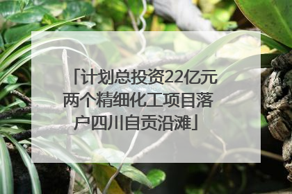 计划总投资22亿元 两个精细化工项目落户四川自贡沿滩
