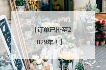 订单已排至2029年！
