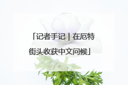 记者手记｜在厄特街头收获中文问候