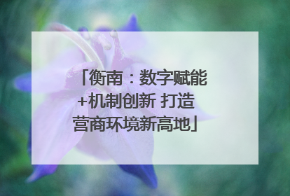 衡南：数字赋能+机制创新 打造营商环境新高地