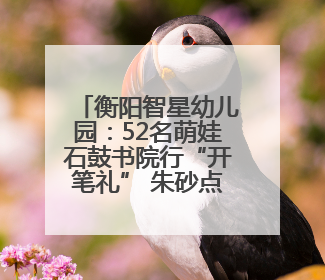 衡阳智星幼儿园：52名萌娃石鼓书院行“开笔礼” 朱砂点智启童蒙