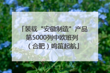 装载“安徽制造”产品 第5000列中欧班列（合肥）鸣笛起航