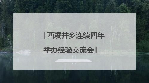 西凌井乡连续四年举办经验交流会