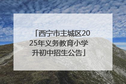 西宁市主城区2025年义务教育小学升初中招生公告