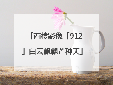 西楼影像「912」白云飘飘芒种天