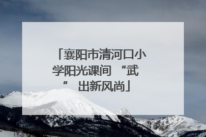 襄阳市清河口小学阳光课间 “武” 出新风尚