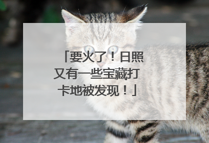 要火了！日照又有一些宝藏打卡地被发现！