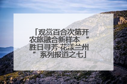 观赏百合次第开 农旅融合新样本 “胜日寻芳·花漾兰州”系列报道之七