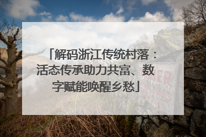 解码浙江传统村落：活态传承助力共富、数字赋能唤醒乡愁