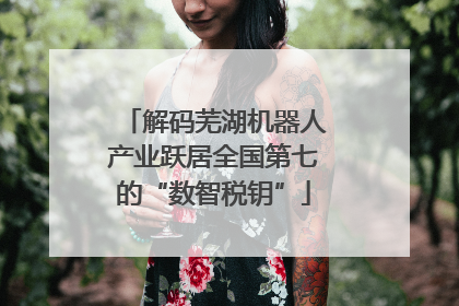 解码芜湖机器人产业跃居全国第七的“数智税钥”