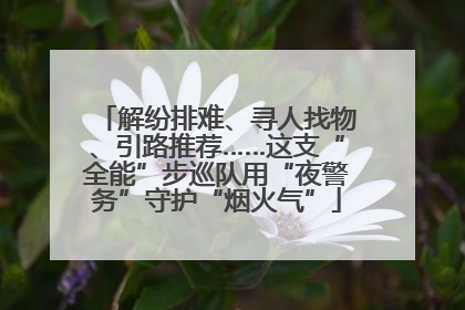 解纷排难、寻人找物、引路推荐……这支“全能”步巡队用“夜警务”守护“烟火气”