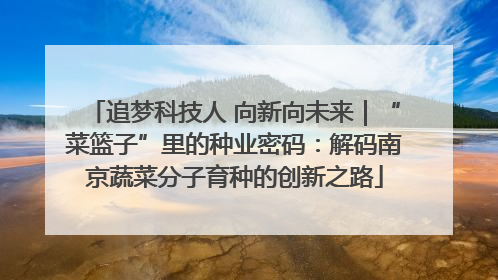 追梦科技人 向新向未来｜“菜篮子”里的种业密码：解码南京蔬菜分子育种的创新之路