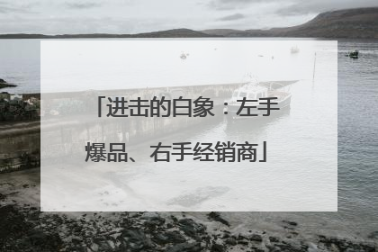 进击的白象：左手爆品、右手经销商
