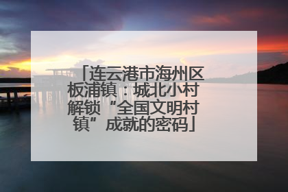 连云港市海州区板浦镇：城北小村解锁“全国文明村镇”成就的密码