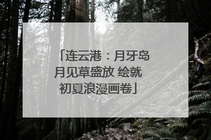 连云港：月牙岛月见草盛放 绘就初夏浪漫画卷