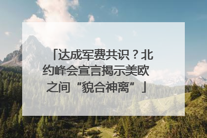 达成军费共识？北约峰会宣言揭示美欧之间“貌合神离”