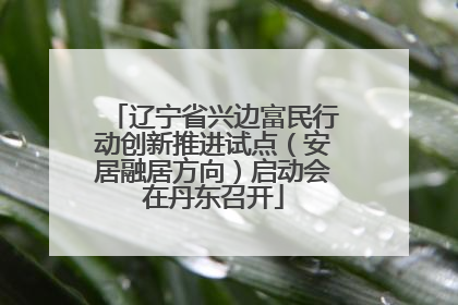 辽宁省兴边富民行动创新推进试点（安居融居方向）启动会在丹东召开