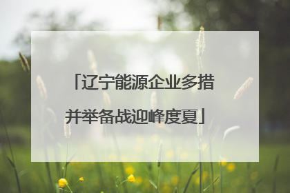 辽宁能源企业多措并举备战迎峰度夏