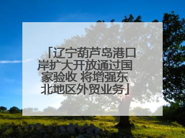 辽宁葫芦岛港口岸扩大开放通过国家验收 将增强东北地区外贸业务