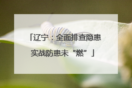 辽宁：全面排查隐患 实战防患未“燃”