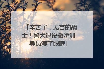 辛苦了，无言的战士！警犬退役撒娇训导员湿了眼眶