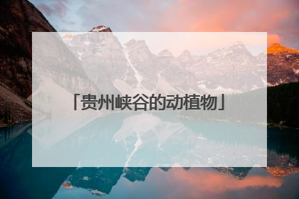 贵州峡谷的动植物