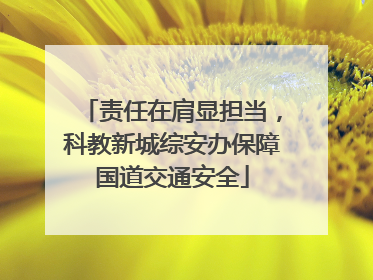 责任在肩显担当，科教新城综安办保障国道交通安全