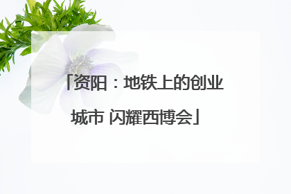 资阳：地铁上的创业城市 闪耀西博会