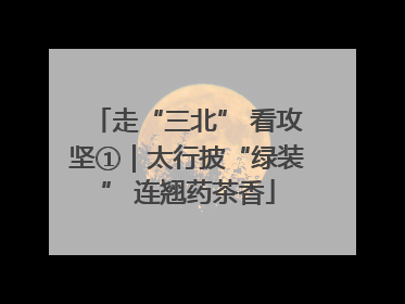 走“三北” 看攻坚①｜太行披“绿装” 连翘药茶香