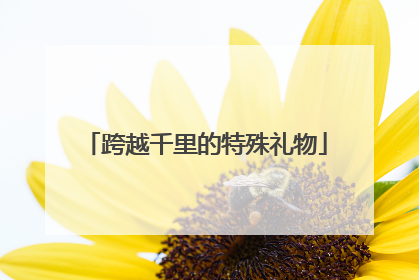 跨越千里的特殊礼物