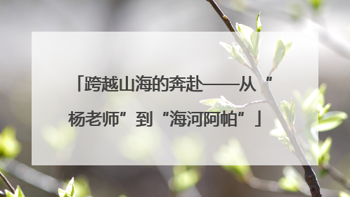 跨越山海的奔赴——从“杨老师”到“海河阿帕”