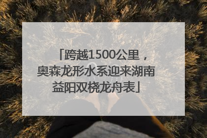 跨越1500公里，奥森龙形水系迎来湖南益阳双桡龙舟表
