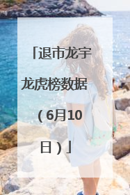 退市龙宇龙虎榜数据（6月10日）