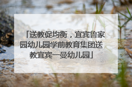 送教促均衡，宜宾鲁家园幼儿园学前教育集团送教宜宾一曼幼儿园