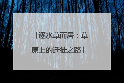 逐水草而居：草原上的迁徙之路