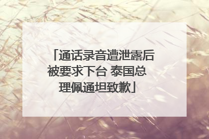 通话录音遭泄露后被要求下台 泰国总理佩通坦致歉