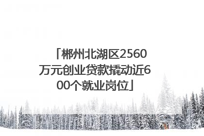 郴州北湖区2560万元创业贷款撬动近600个就业岗位