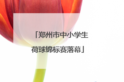 郑州市中小学生荷球锦标赛落幕