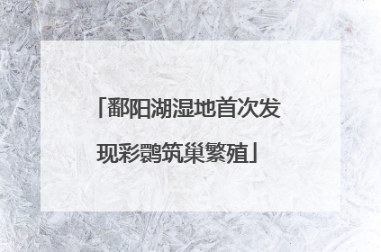 鄱阳湖湿地首次发现彩鹮筑巢繁殖