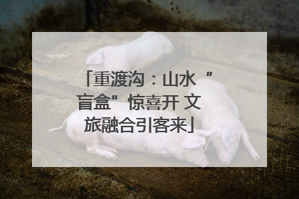 重渡沟：山水“盲盒”惊喜开 文旅融合引客来