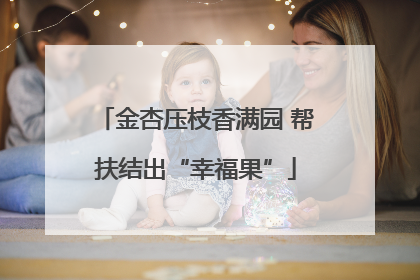 金杏压枝香满园 帮扶结出“幸福果”