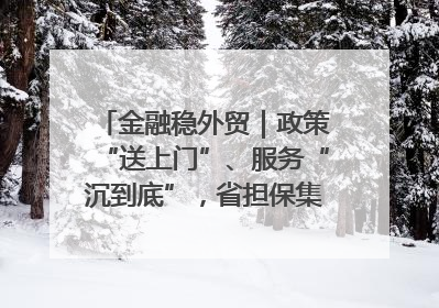 金融稳外贸｜政策“送上门”、服务“沉到底”，省担保集团加力支持外经贸高质量发展