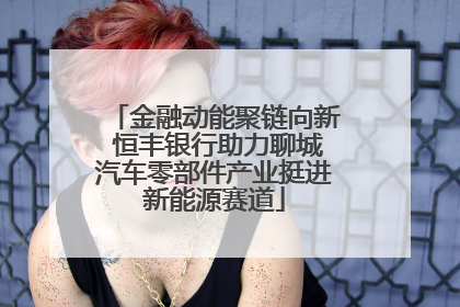 金融动能聚链向新 恒丰银行助力聊城汽车零部件产业挺进新能源赛道