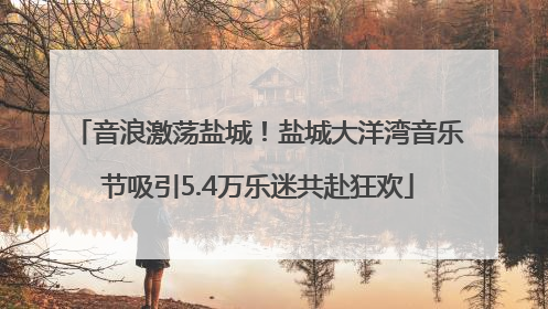 音浪激荡盐城！盐城大洋湾音乐节吸引5.4万乐迷共赴狂欢