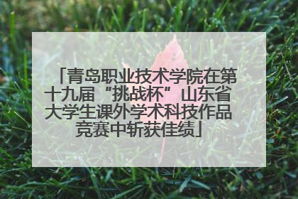 青岛职业技术学院在第十九届“挑战杯”山东省大学生课外学术科技作品竞赛中斩获佳绩