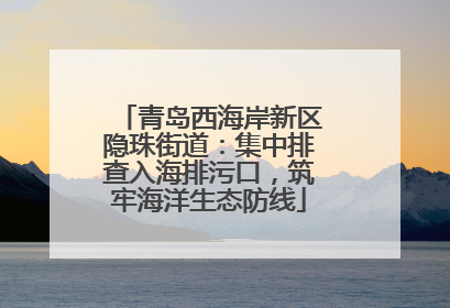 青岛西海岸新区隐珠街道：集中排查入海排污口，筑牢海洋生态防线